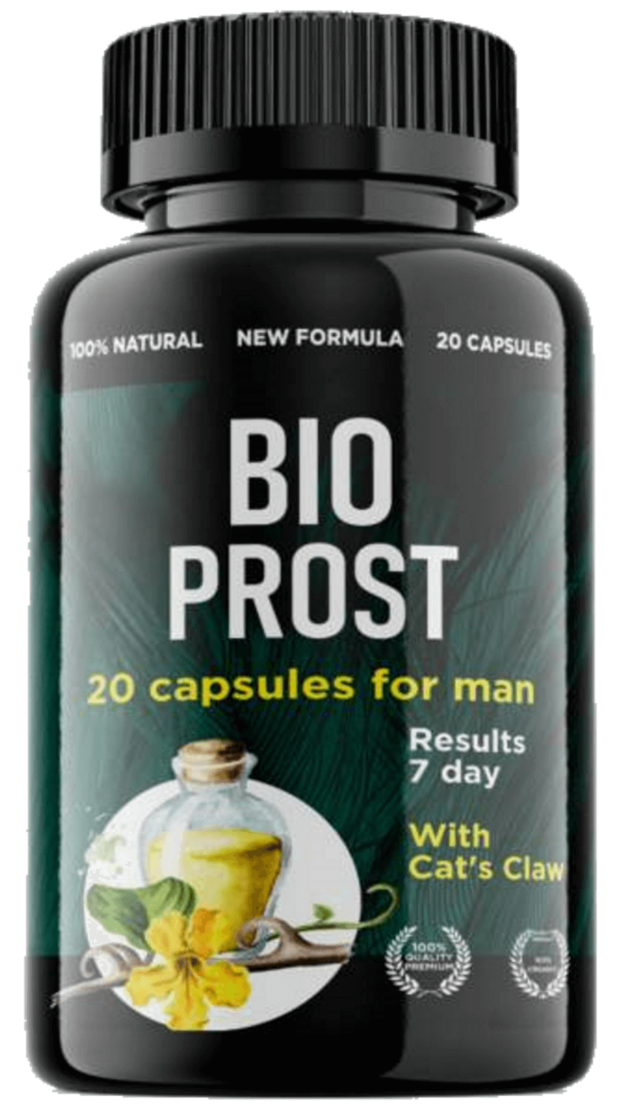 Bio Prost: cápsulas para la prostatitis, pros y contras, combinación, averigüe el valor acerca de Perú
